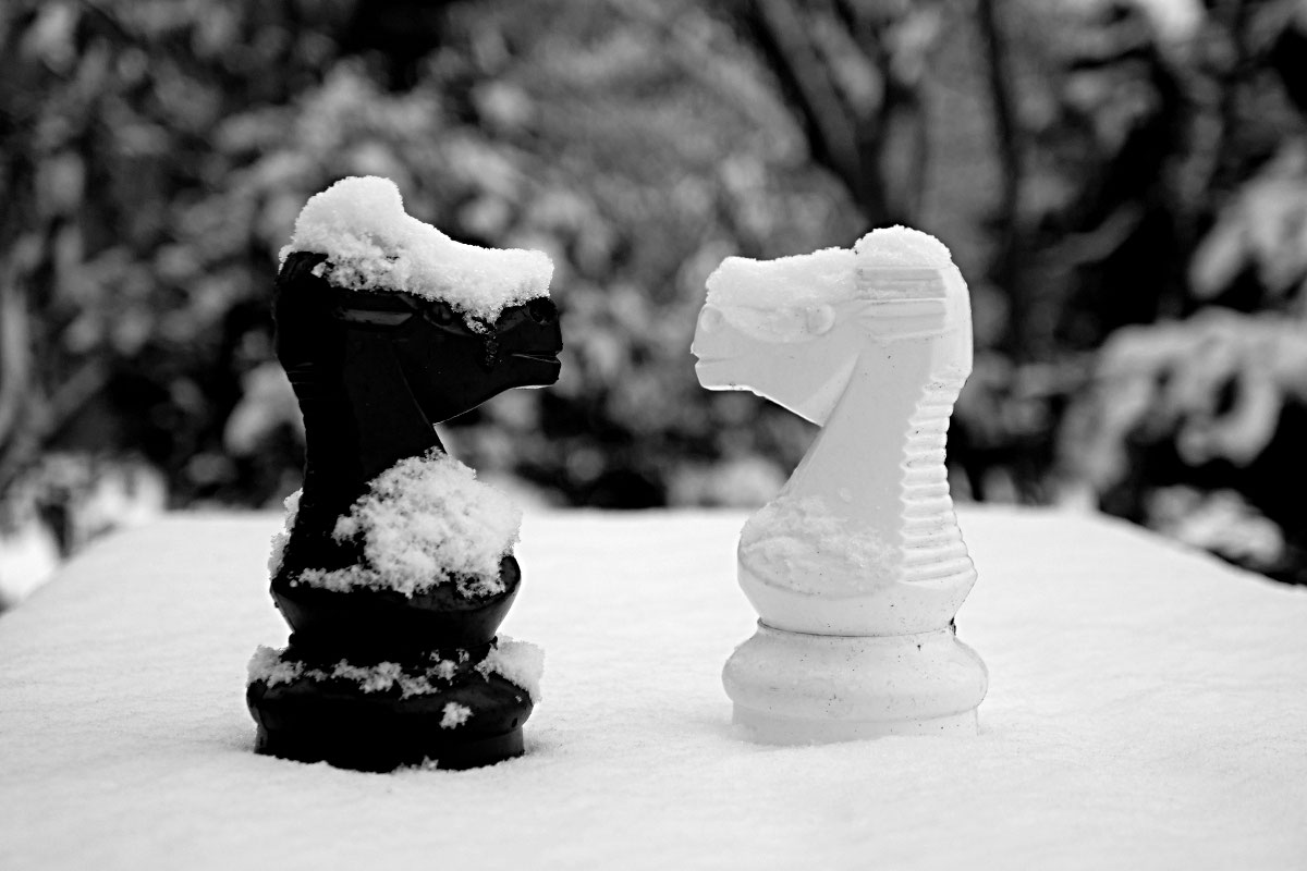 Das große Winter-Schachturnier 2026